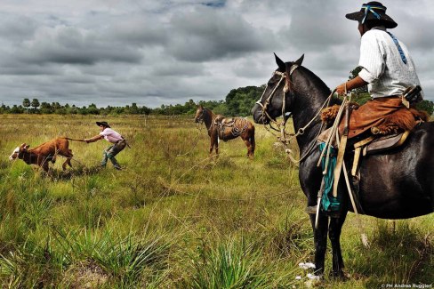 Gauchos dans les Esteros del Iberá - Etangs de l'Iberá