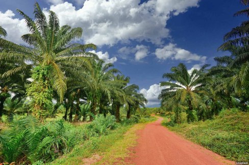 Alentours de Kep et Kampot