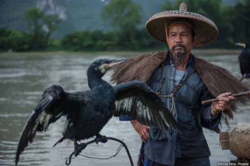 Pêcheur à Guilin