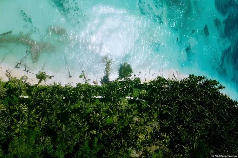 Forêt luxuriante et eaux turquoise à Bocas del Toro, archipel panaméen