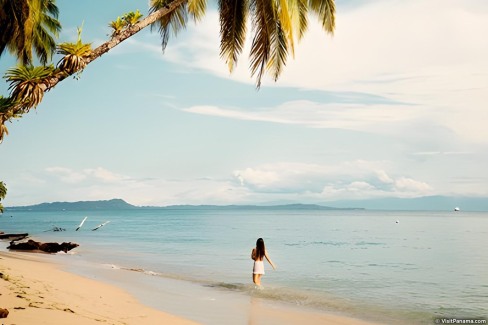 Sable blanc et cocotiers dans l'archipel Bocas del Toro