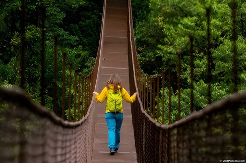 Pont suspendu en forêt au Panama