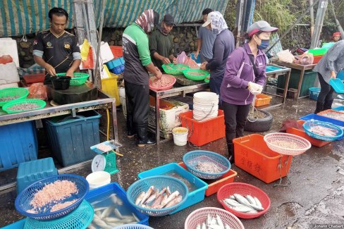 Marché aux poissons sur la côte Est de Taiwan