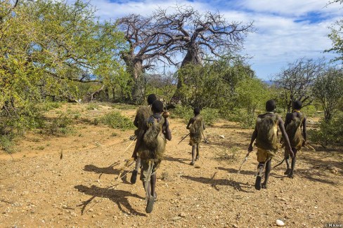 Chasseurs Hadzabe