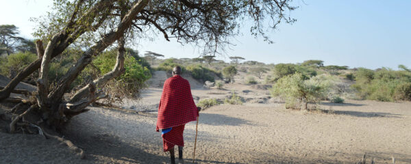 Berger massaï dans la petite vallée d'Olduvaï